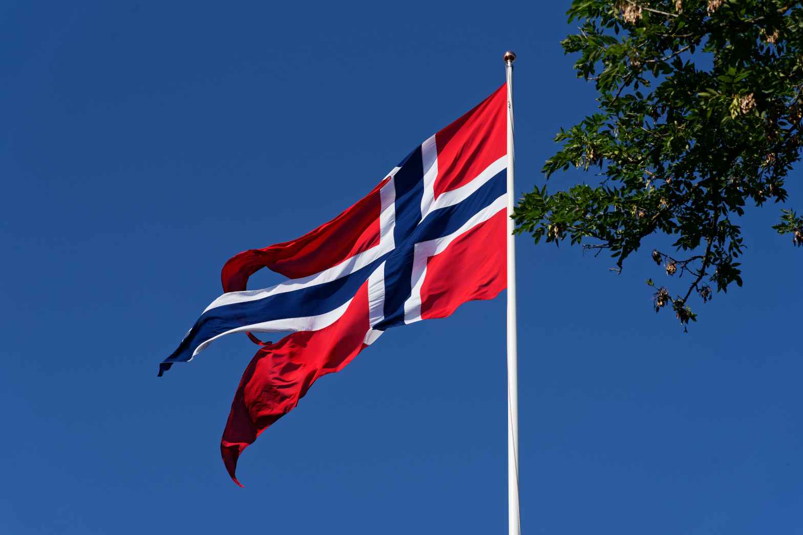 Norwegian Flag Credit gu-bra CC