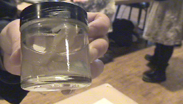 specimen jar. photo credit: Magda Wojtyra