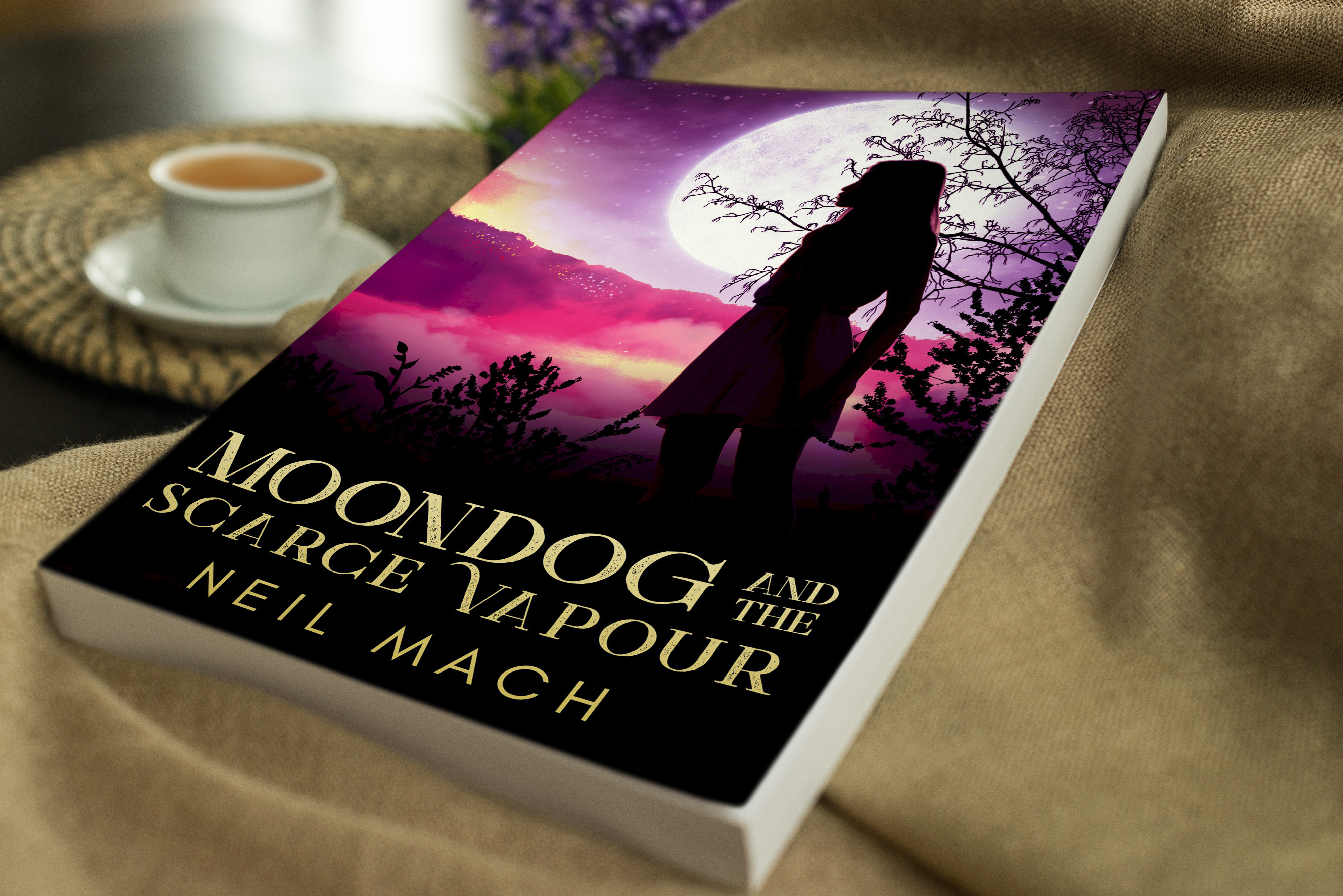 Moondog and the Scarce Vapour by English author Neil Mach